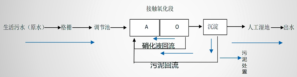 cctv法甲直播在线观看